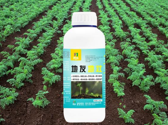胡萝卜种植管理方案