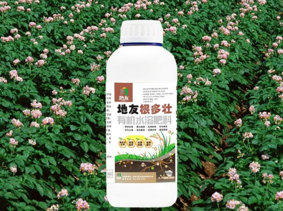 农作物的套种与忌种